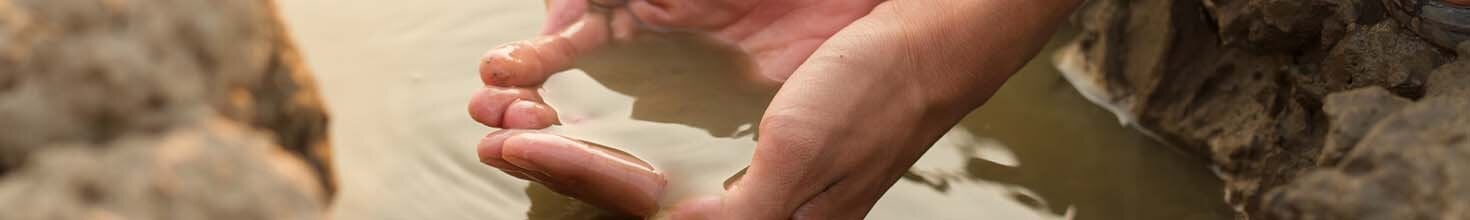 Hands scooping water from soil
