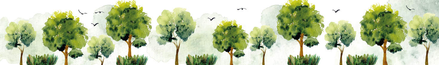 Imagery of green trees and birds