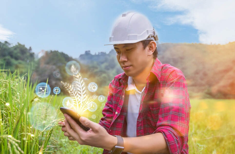 Image showing a farmer using a mobile smartphone to record water levels and plant health, with a field of crop in front and behind him as well as a mountain. This images implies agricultural research and engineering innovation.