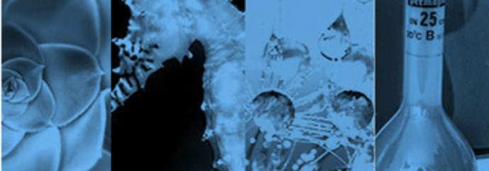 CHEMnetBase banner featuring abstract scientific images of vials and small organisms