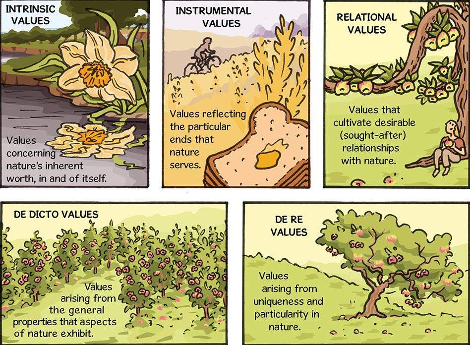 Illustration to show the the diﬀerent types of values. These include: Intrinsic Values, concerning nature’s inherent worth, in and of itself; Instrumental Values, reflecting the particular ends that nature serves; Relational Values, that cultivate desirable (sought-after) relationships with nature; De Dicto Value, concerning nature’s inherent worth, in and of itself, De Re Value, arising from uniqueness and particularity in nature